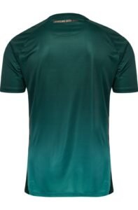 Werder Bremen 2025-26 Third Kit - 图片 3